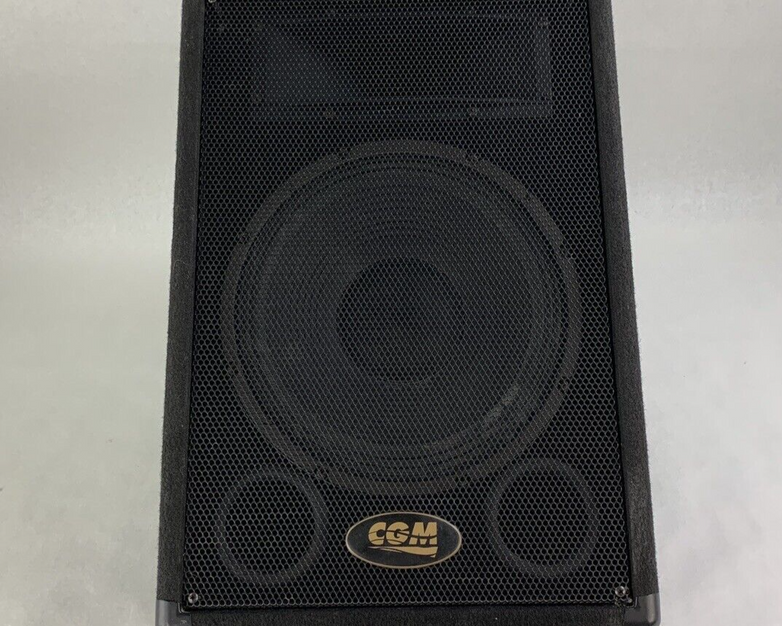 CGM ARM-112H-1-M 2-way Passive Monitor Wedge Speaker Tested