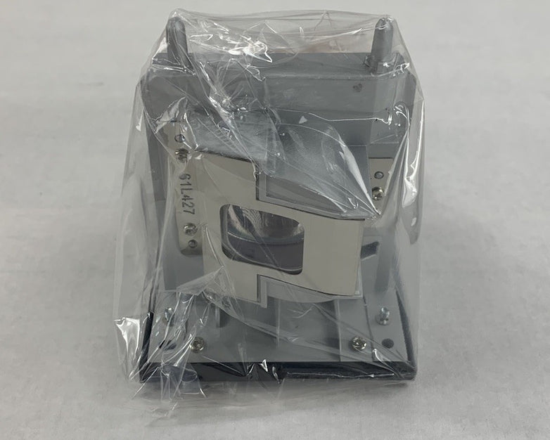 Electrified Lamps 20-01175-20 Replacement Projector Lamp