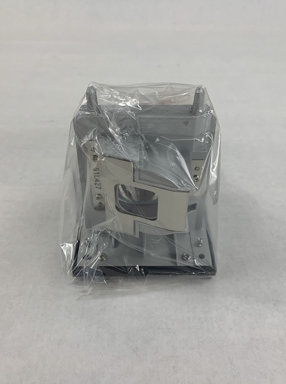 Electrified Lamps 20-01175-20 Replacement Projector Lamp