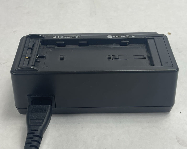 Sony Power Adapter and Charger for L/M Series Batteries (AC-VQ800)