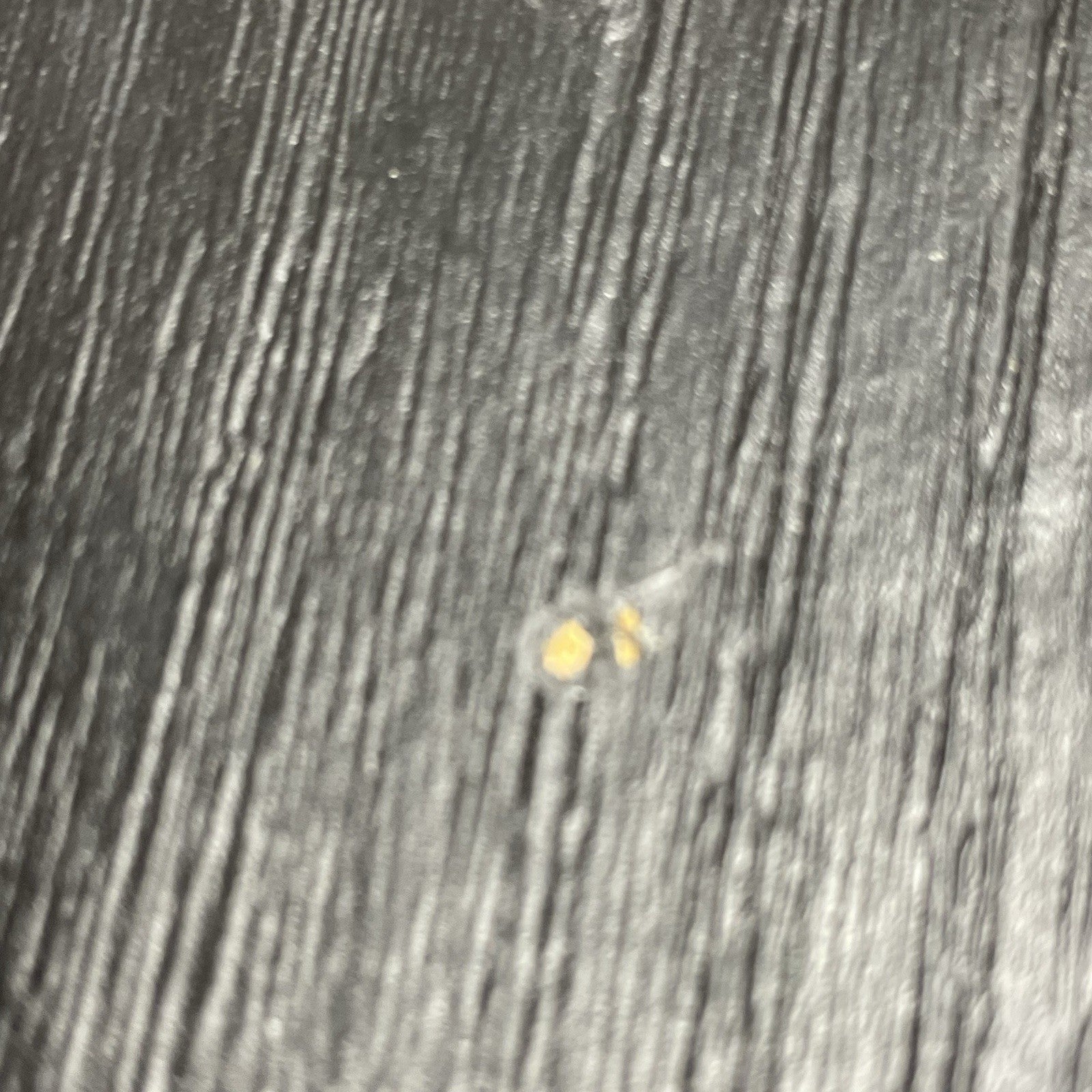 EV Electro Voice TL12-1A Low-Frequency Base Enclosure 300w 8ohms