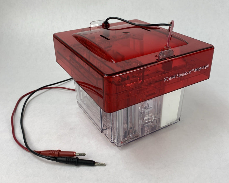 Invitrogen Novex XCell4 SureLock Midi-Cell Electrophoresis Cell