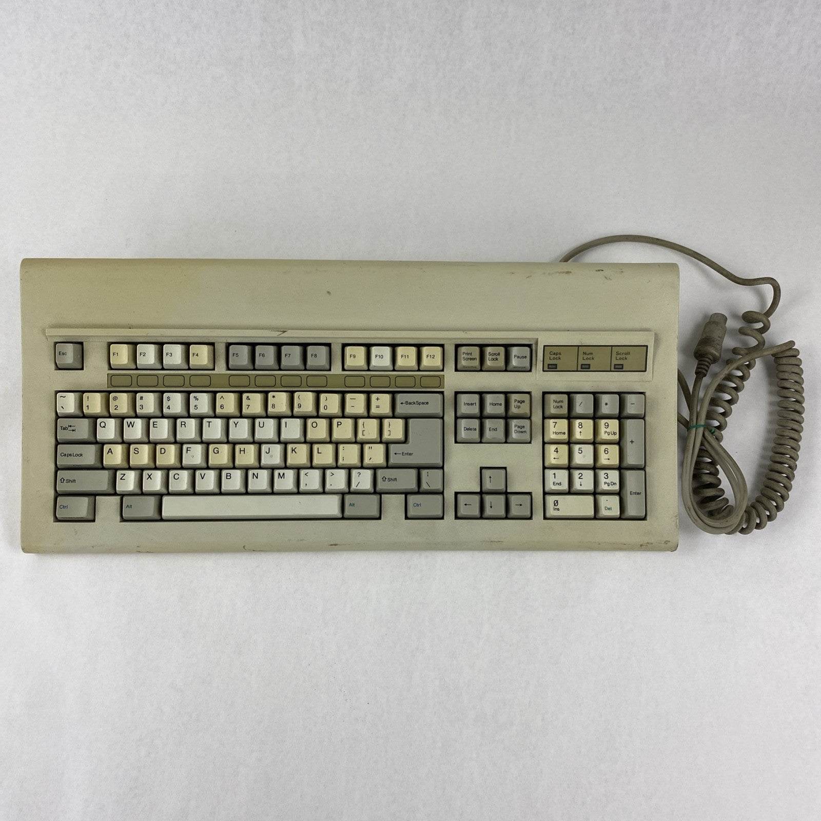 Vintage Focus Electronic FSQ4VYFK-555 Mechanical Keyboard -  Alps SKCM Switches1