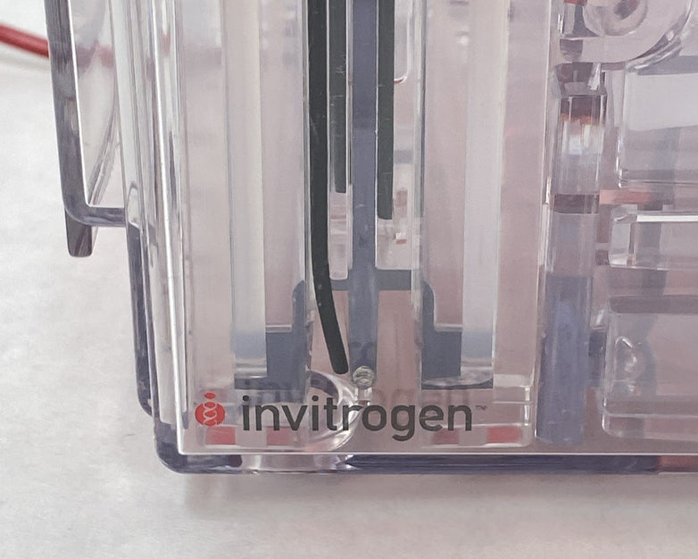 Invitrogen Novex XCell4 SureLock Midi-Cell Electrophoresis Cell