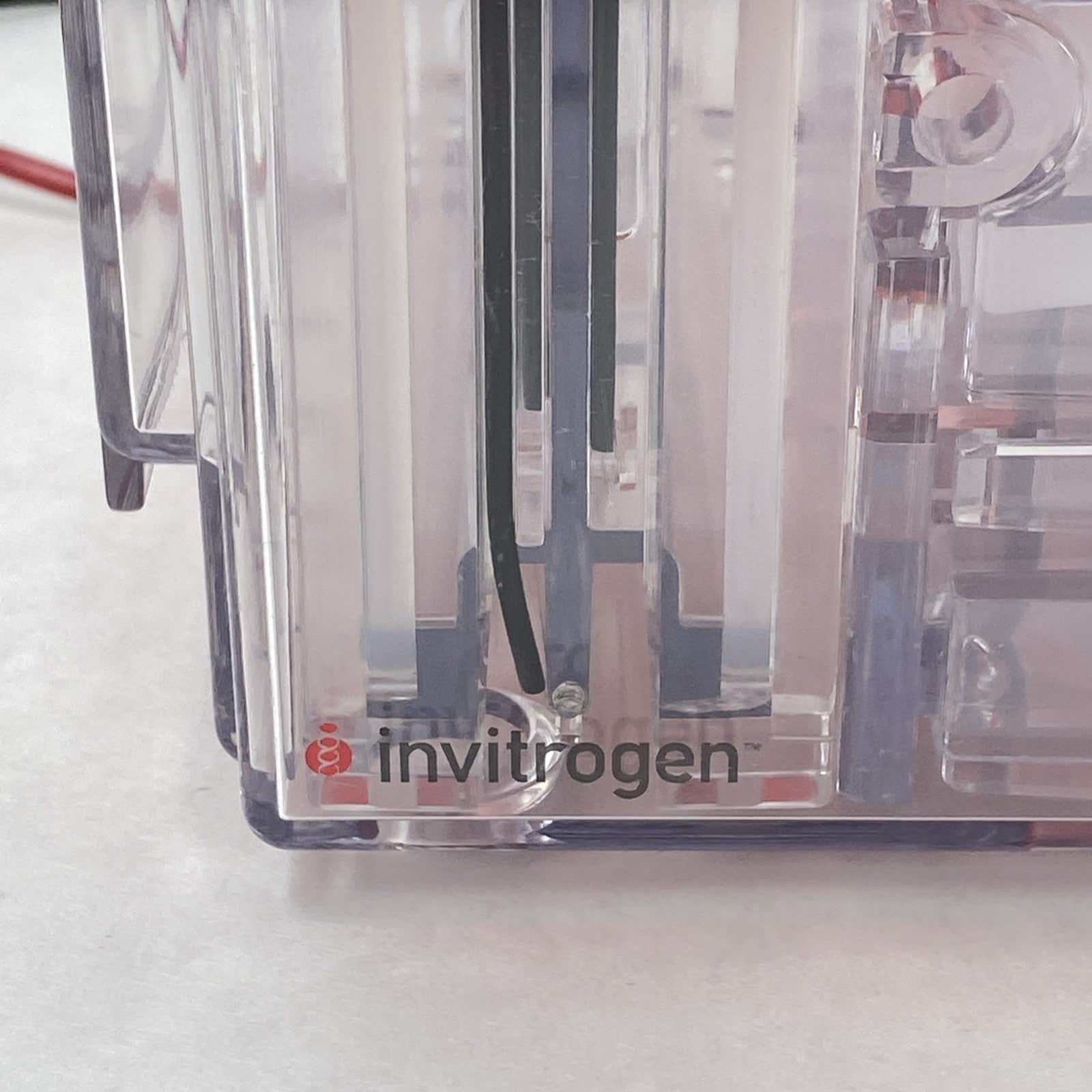 Invitrogen Novex XCell4 SureLock Midi-Cell Electrophoresis Cell10