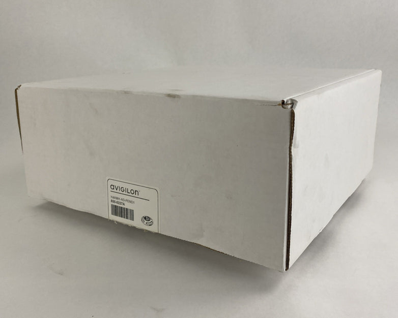 Avigilon H4AMH-AD-PEND1 H4 850-0963A