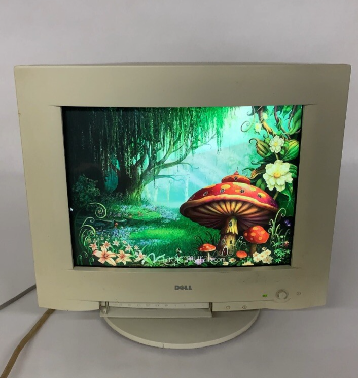 Dell 17" D1728D-LS 1280x1024 VGA CRT Monitor