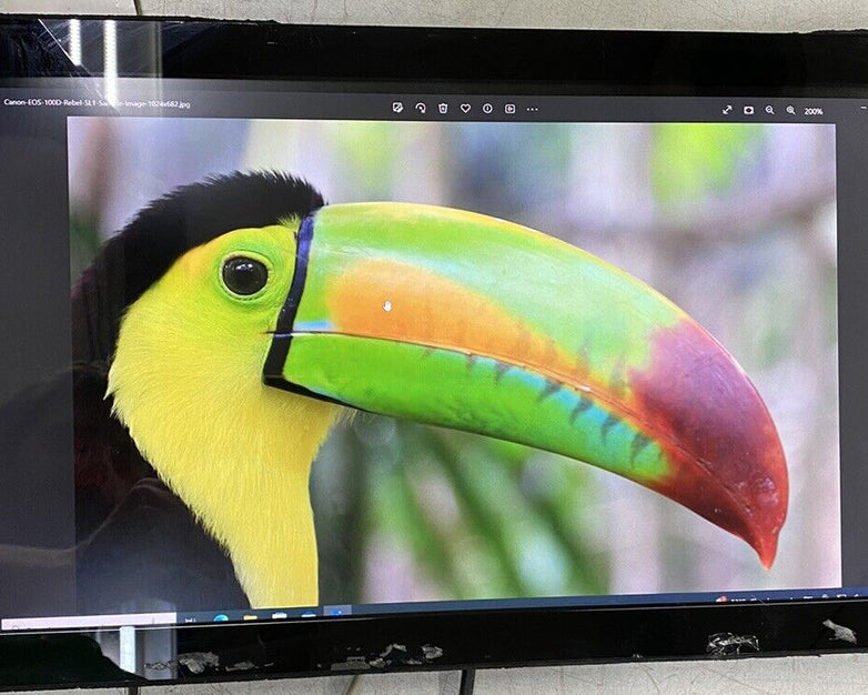 ELO ET2094L E197628 19.5" VGA OSD USB Touchscreen Monitor NO POWER SUPPLY