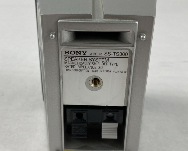 Sony SS-TS300 Surround Sound Home Theater Speakers Center Rear R Rear L Untested