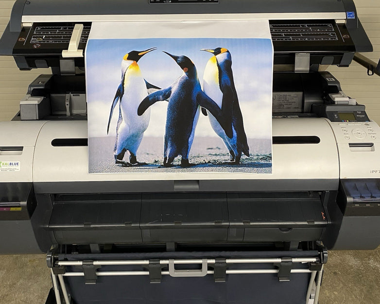 Canon IPF765 Printer Colortrac SmartLF Ci40 ViewSonic VS12666 LCD Touch Display