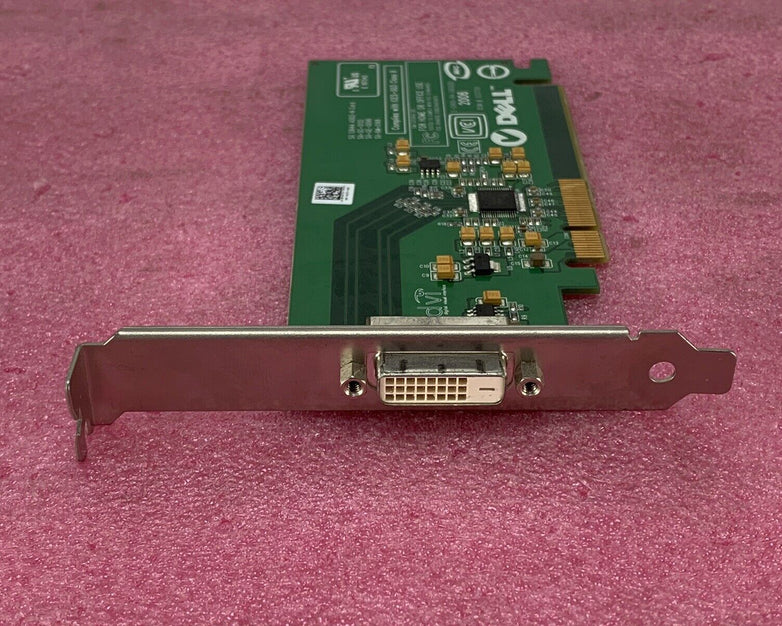 Dell DVI-D Video Card D33724 E-G900-04-2600(B) Full Height KH276
