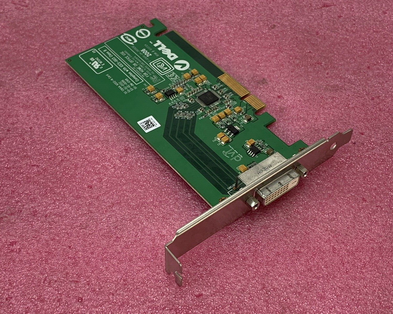 Dell DVI-D Video Card D33724 E-G900-04-2600(B) Full Height KH276