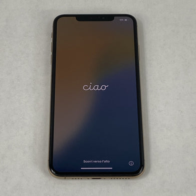 Apple iPhone XS Max A1921 256GB Unlocked 6.5" Gold IOS 18.7.8 - Service Battery