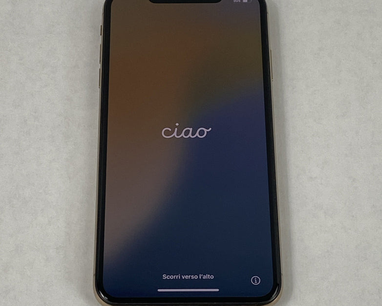 Apple iPhone XS Max A1921 256GB Unlocked 6.5" Gold IOS 18.7.8 - Service Battery
