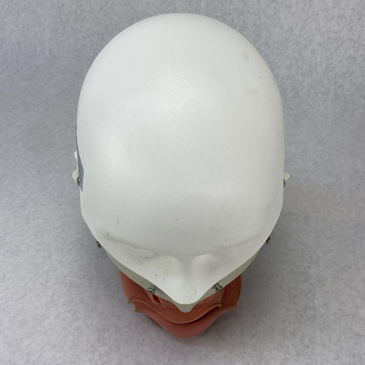Kilgore International Dental Phantom Head Manikin3