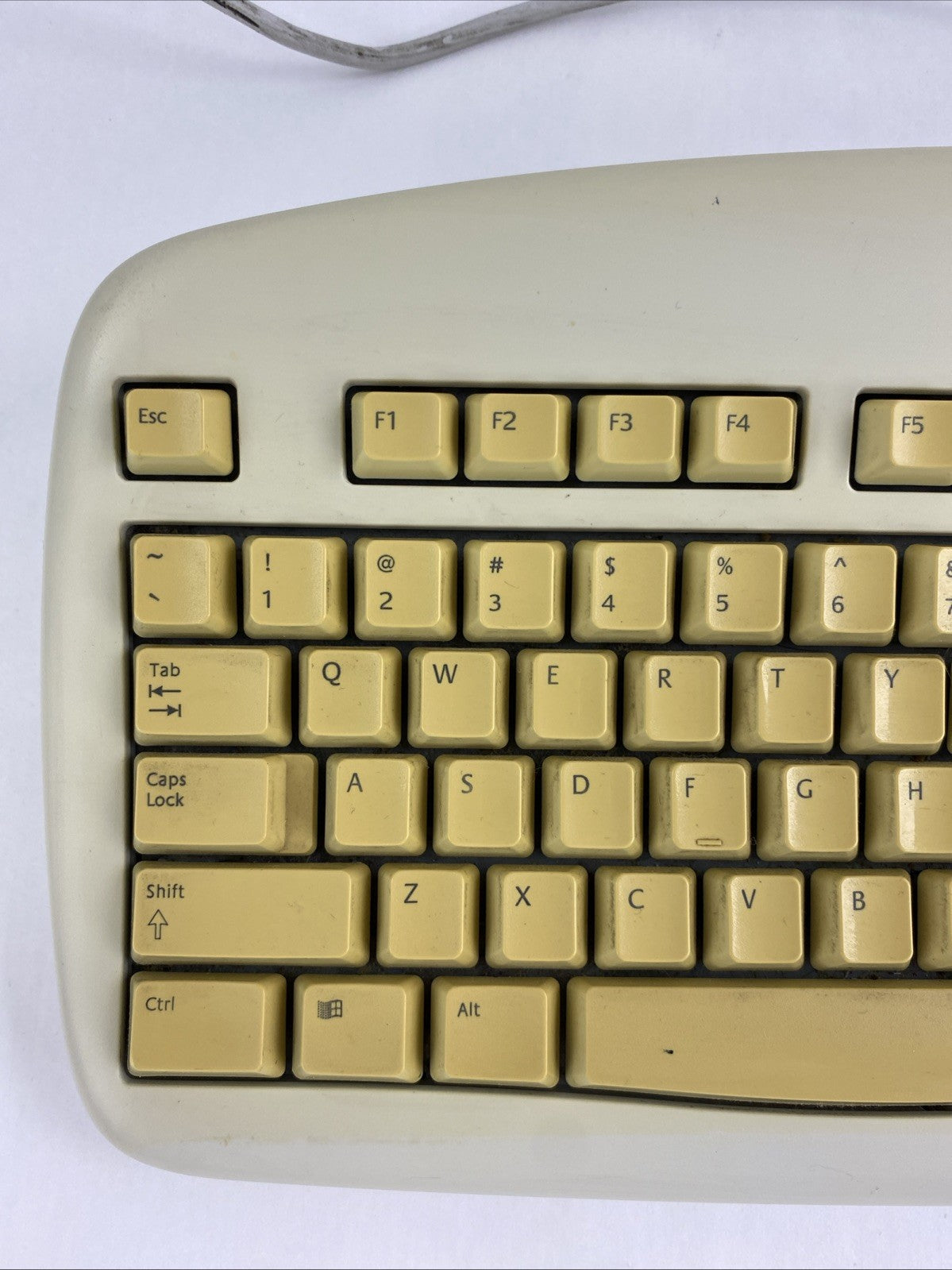 Logitech Y-SG13 PS/2 104-Key QWERTY Wired Membrane Keyboard7