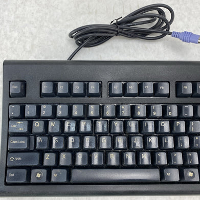 Lot( 2 ) WYSE KB-3923 PS/2 Clacky Keys No Frills Keyboard Grade B