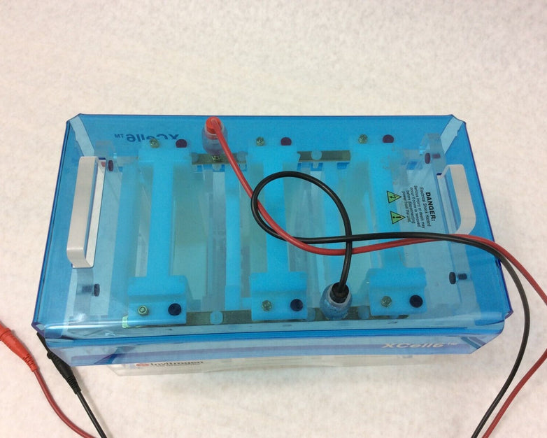 Invitrogen XCELL6 MultiGel Electrophoresis Cell