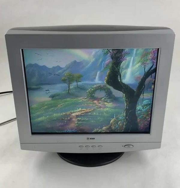 Esa E19CRT1 18" CRT VGA Color Computer Monitor Retro Gaming Grade B