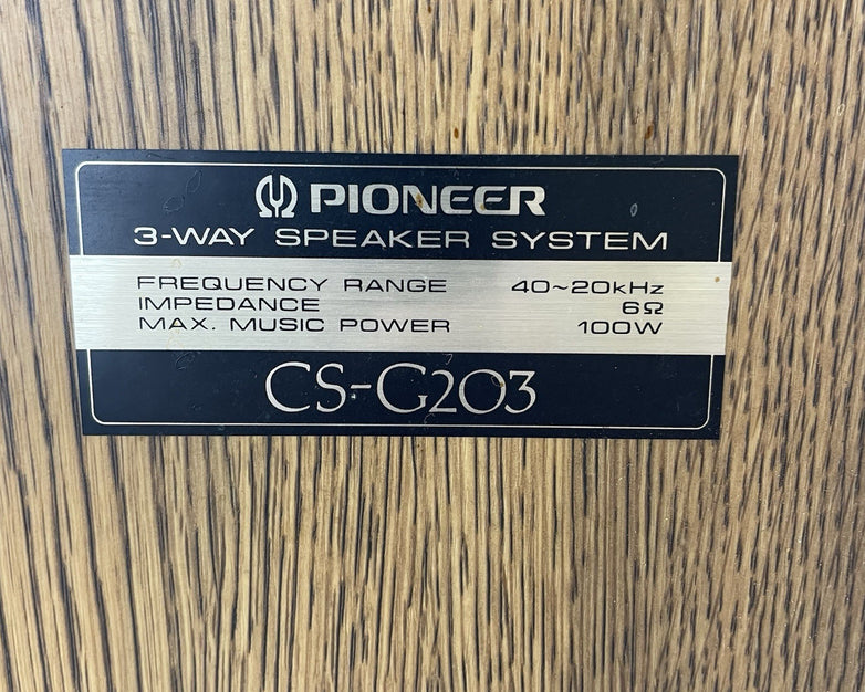 Pioneer CS-G203 Stereo Speakers Pair Tested Working