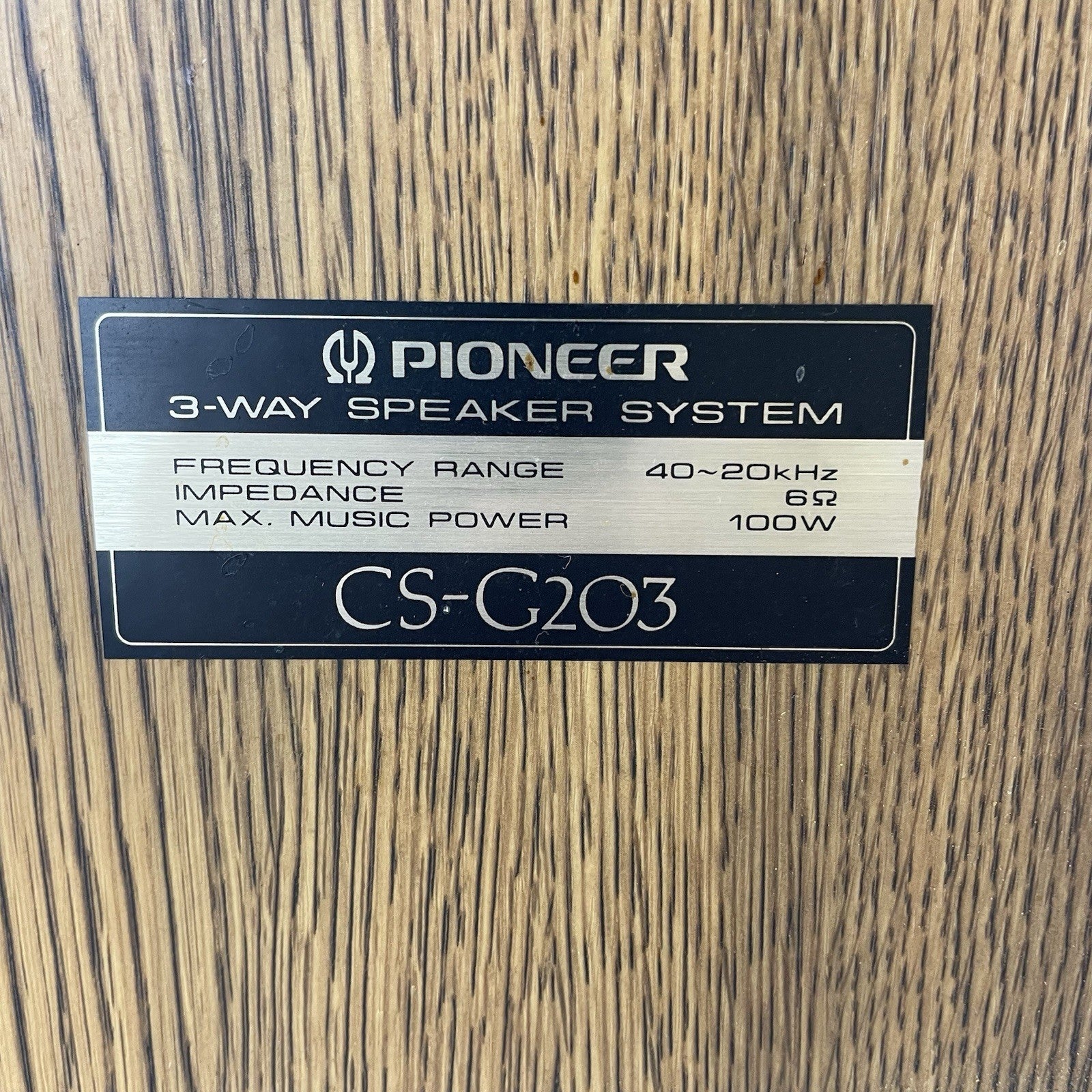 Pioneer CS-G203 Stereo Speakers Pair Tested Working