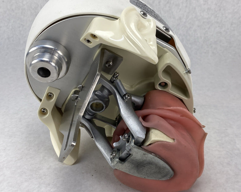Kilgore International Dental Phantom Head Manikin