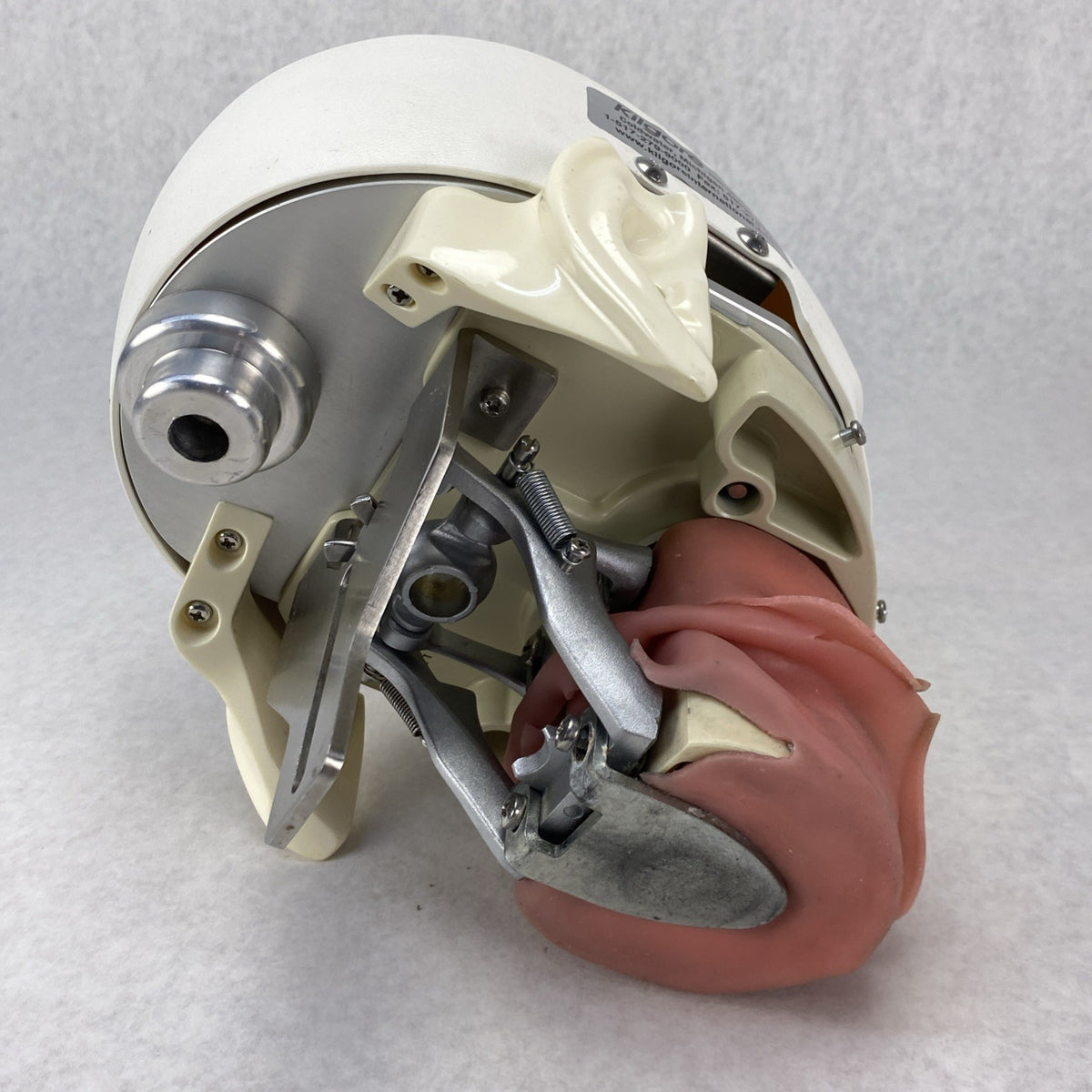Kilgore International Dental Phantom Head Manikin12