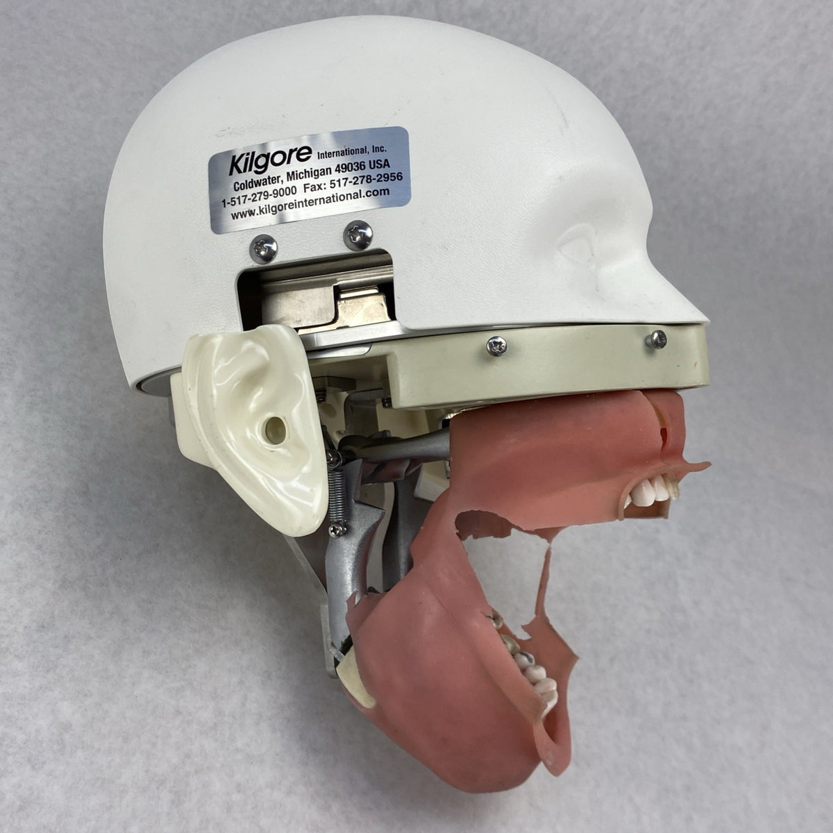 Kilgore International Dental Phantom Head Manikin11