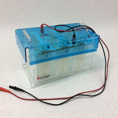 Invitrogen XCELL6 MultiGel Electrophoresis Cell