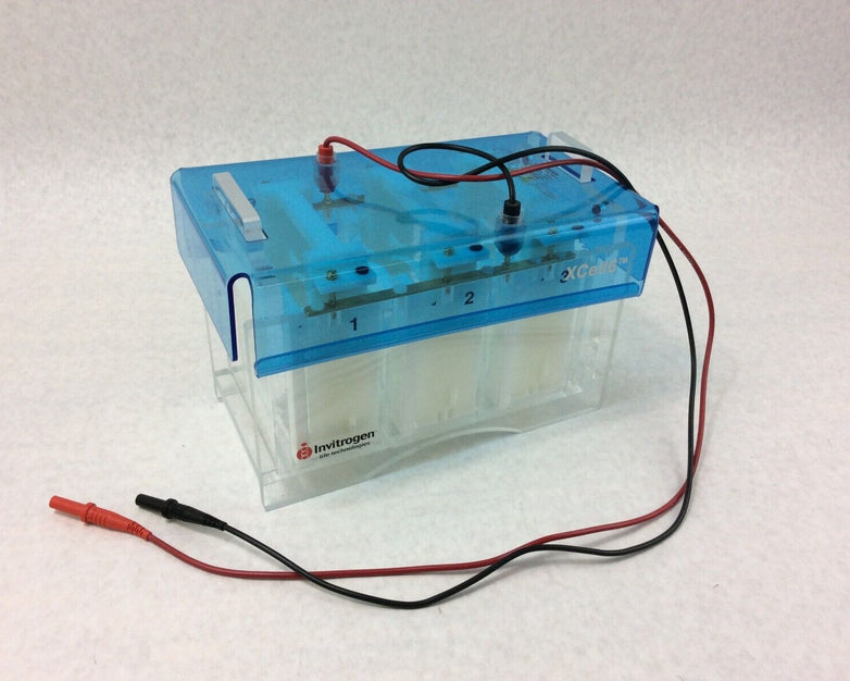Invitrogen XCELL6 MultiGel Electrophoresis Cell
