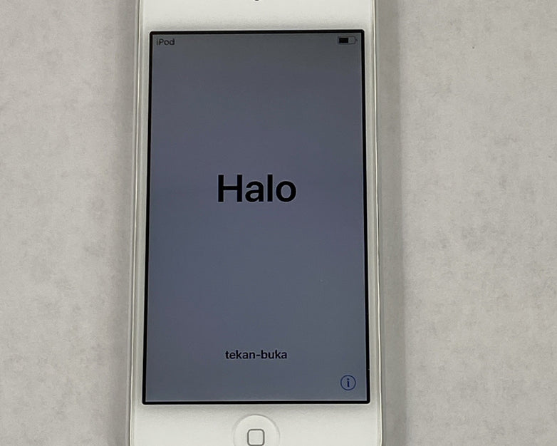 Apple iPod Touch 6th Gen A1574 32GB 4" Silver IOS 12.5.7