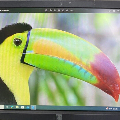 ELO E783686 Touch ET1919L-8CWA-1-GY-G Touchscreen Monitor 16" x 9" NO PSU