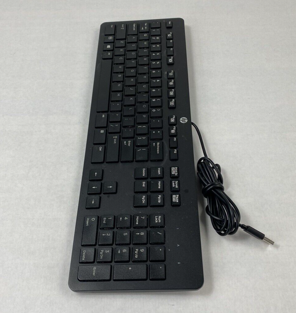 Lot of 2 HP KBAR211 USB Slim Business Wired Keyboard Tested