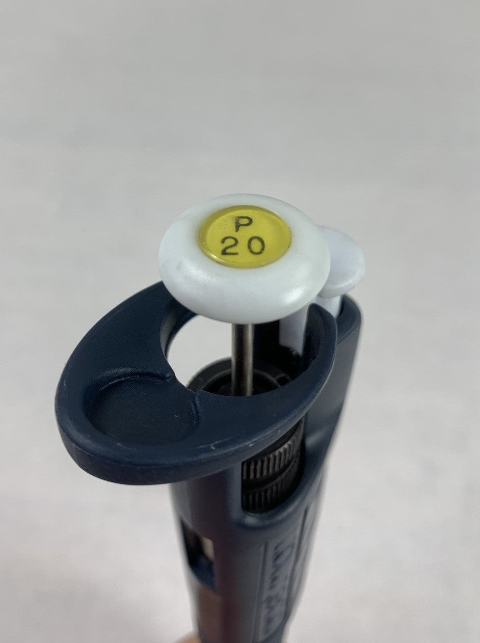 Gilson Pipetman P20 Pipette