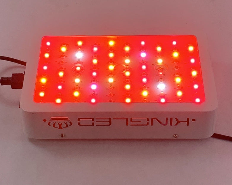 KINGLED Kingplus GW-AQM55B 1000W Grow Light