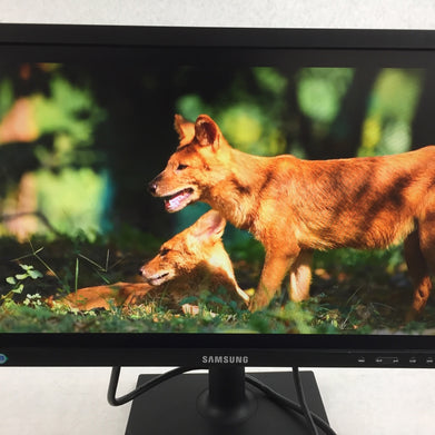 Samsung 19" SE450 Series LED Monitor S19E450BW 1440 x 900 pixels