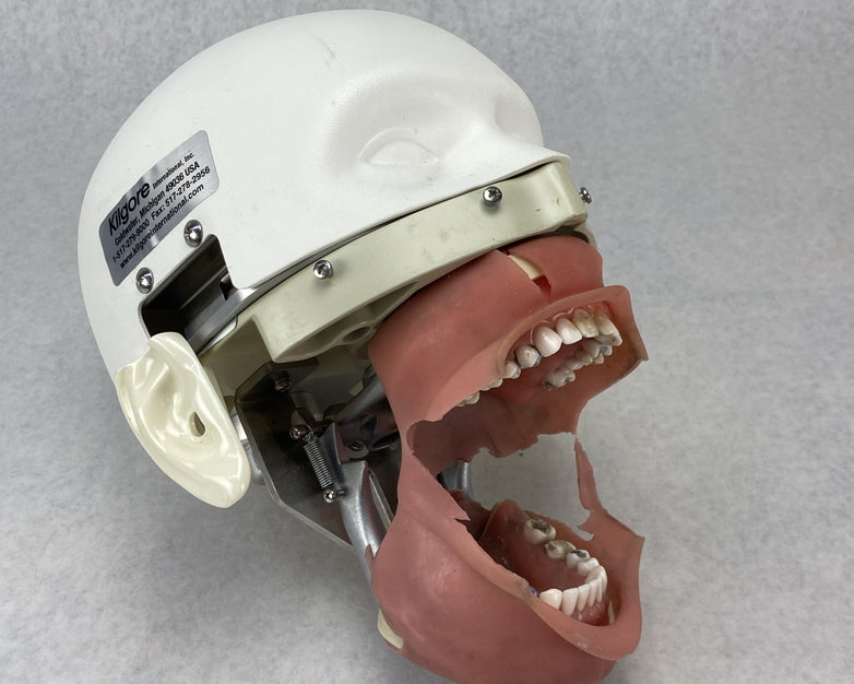 Kilgore International Dental Phantom Head Manikin