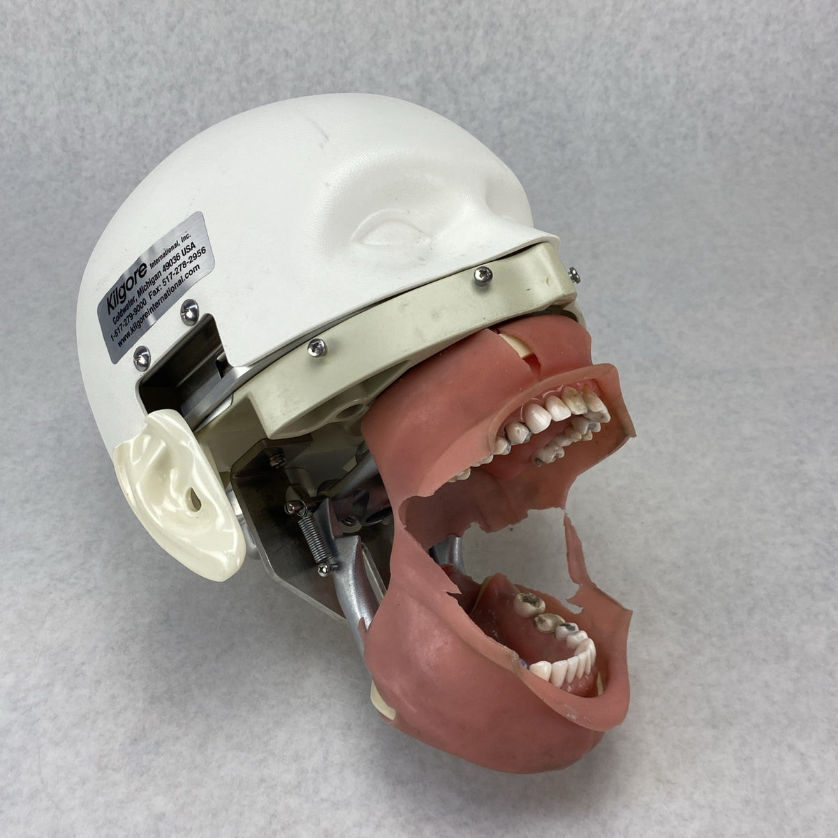 Kilgore International Dental Phantom Head Manikin4