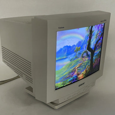 Sony 100SX CPD Trinitron Multiscan CRT VGA Monitor Tested