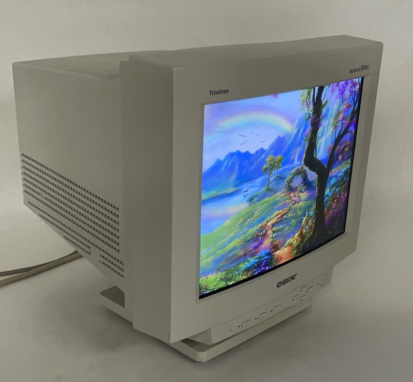 Sony 100SX CPD Trinitron Multiscan CRT VGA Monitor Tested