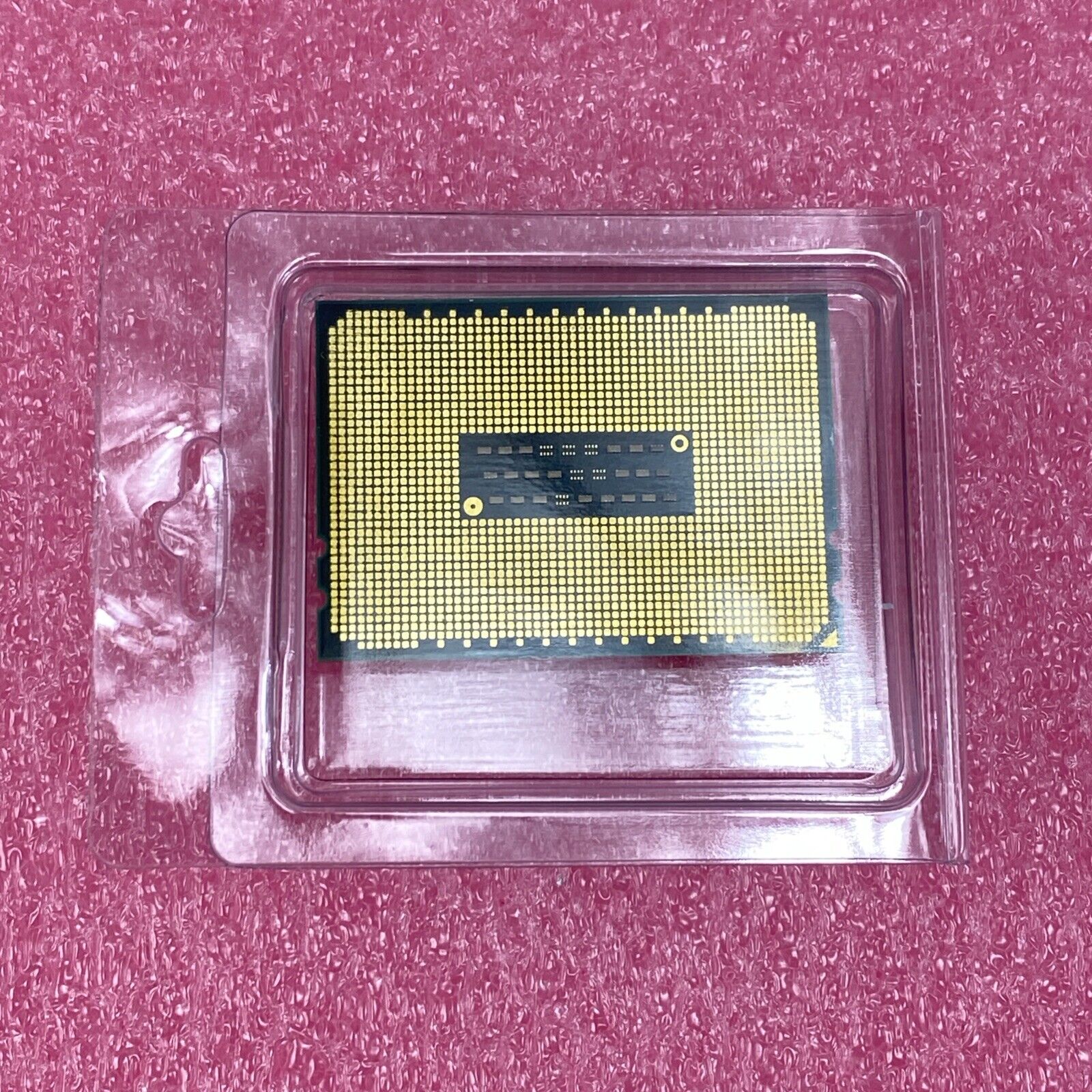 AMD Opteron 0S6212WKT8GGU CPU Processor
