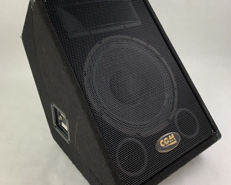 CGM ARM-112H-1-M 2-way Passive Monitor Wedge Speaker Tested