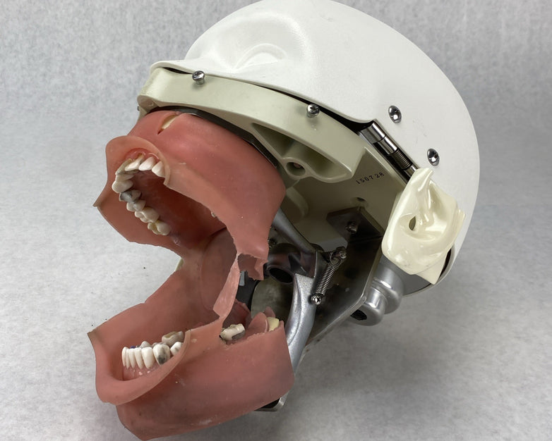 Kilgore International Dental Phantom Head Manikin