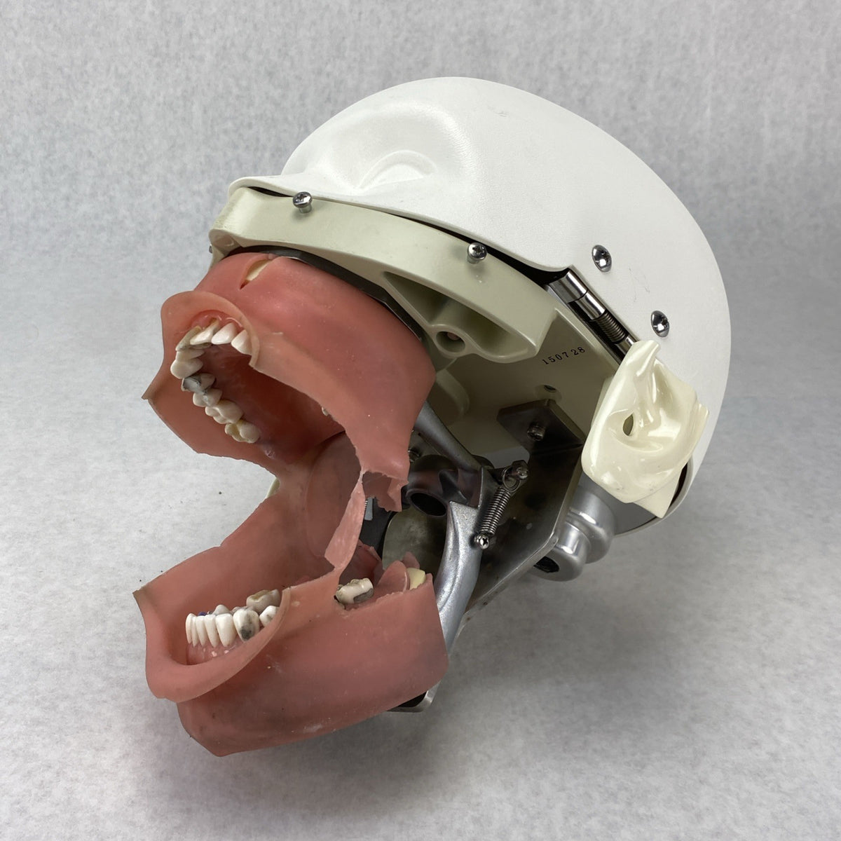 Kilgore International Dental Phantom Head Manikin15