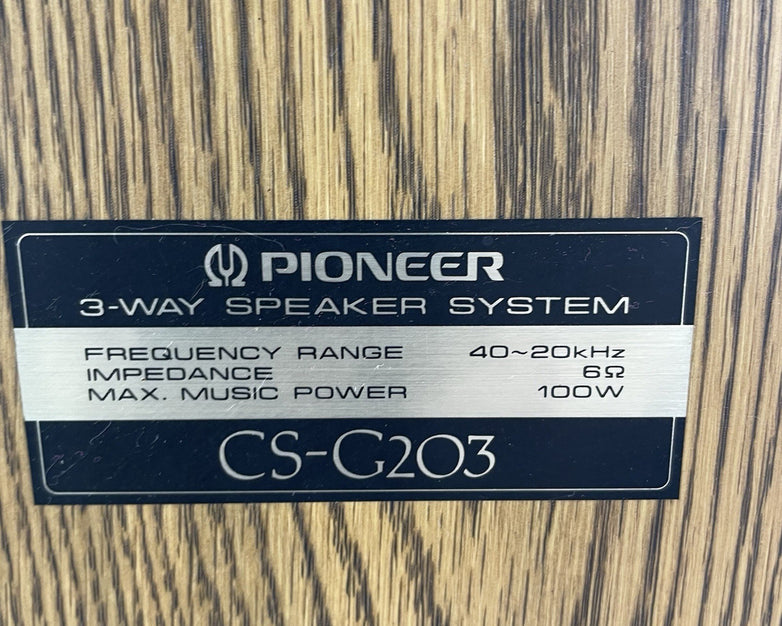 Pioneer CS-G203 Stereo Speakers Pair Tested Working