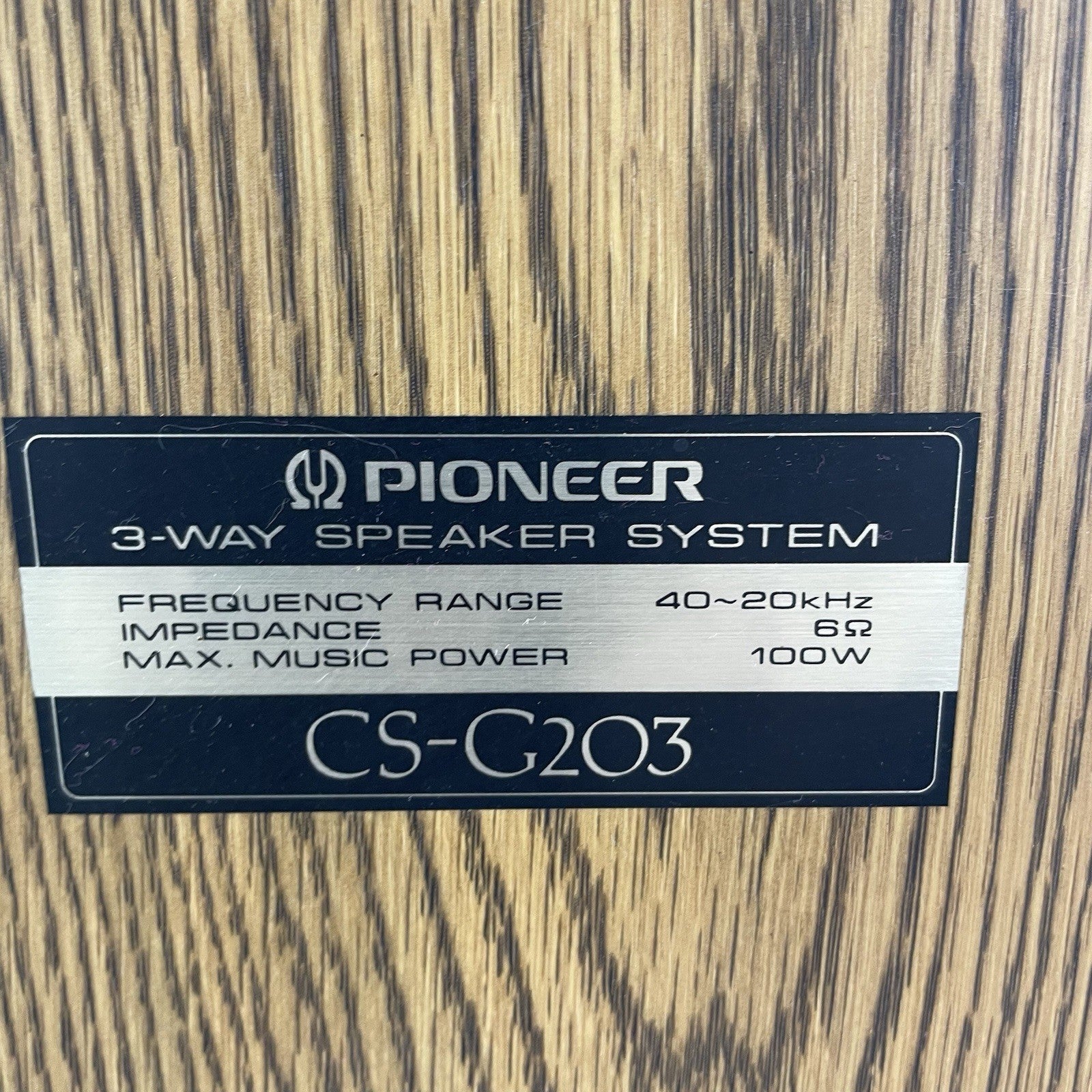 Pioneer CS-G203 Stereo Speakers Pair Tested Working