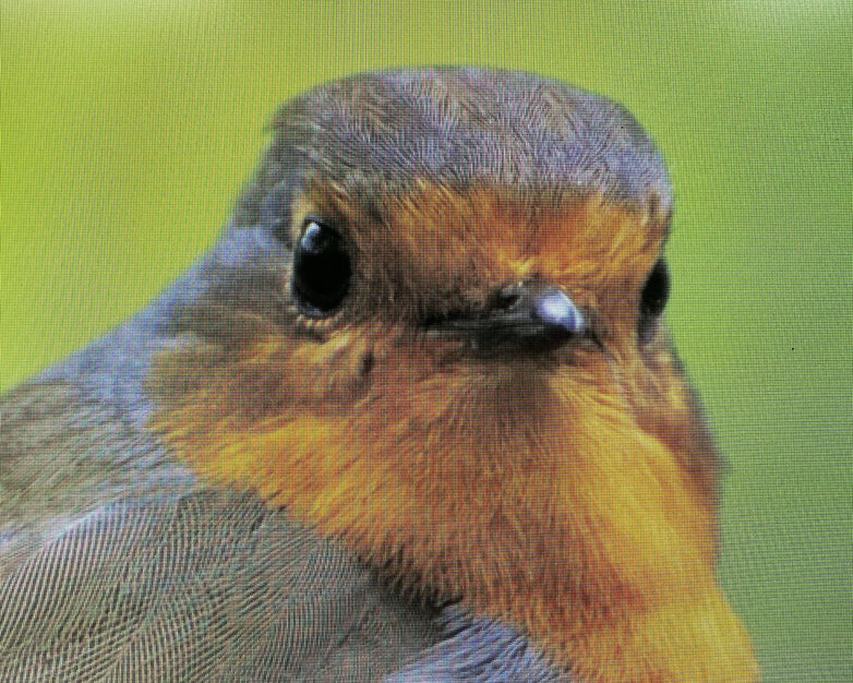 LG 27GQ50B 27 Inch Full HD Ultragear Gaming Monitor