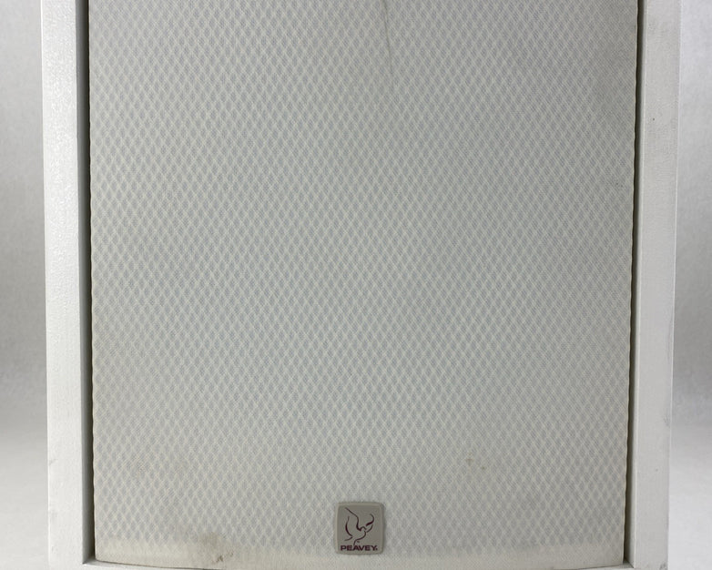 Peavey SSE-15 Sanctuary Series Speaker Tested