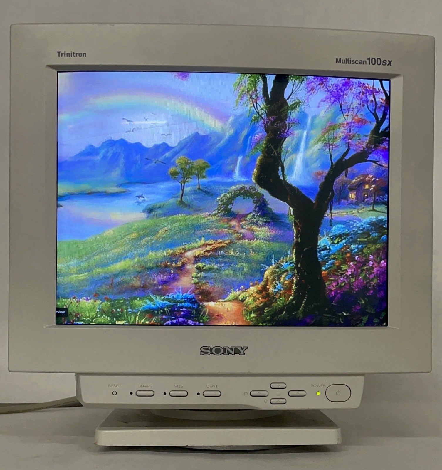 Sony 100SX CPD Trinitron Multiscan CRT VGA Monitor Tested