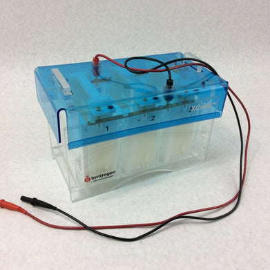 Invitrogen XCELL6 MultiGel Electrophoresis Cell